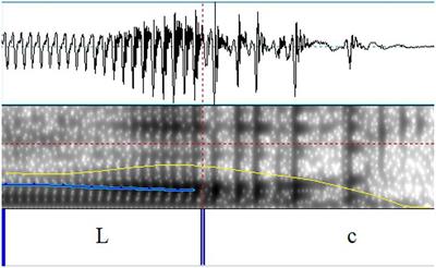 The interaction of focus and phrasing with downstep and post-low-bouncing in Mandarin Chinese